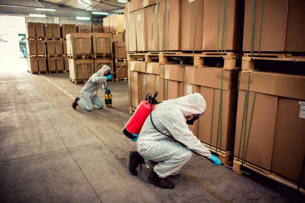 Best Pest Prevention Services  in Lordship, CT