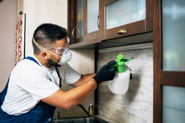 Best Residential Pest Control  in Lordship, CT