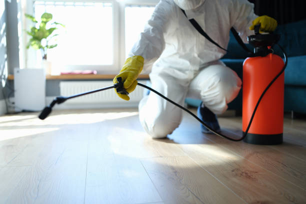 Insect Control in Lordship, CT